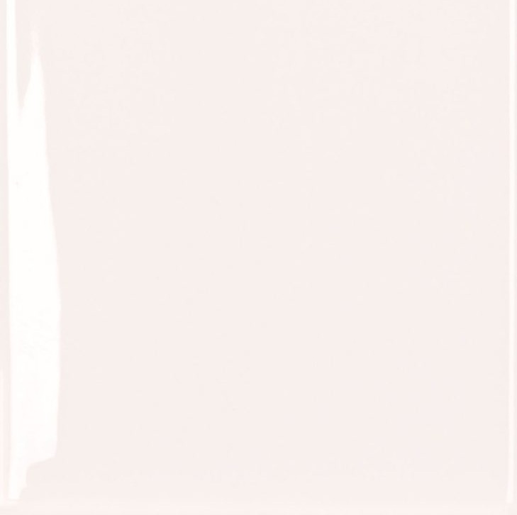 vivant-blanc-glossy-pressed-03x10-glossy_45396-scaled